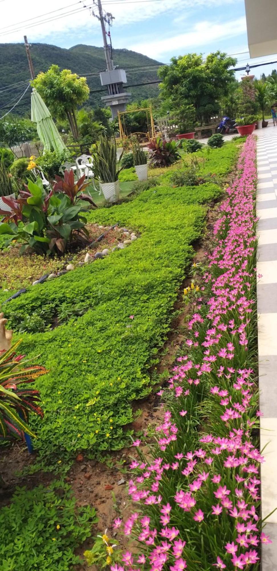 Aparthotel Garden House Con Dao Chi Khu Co Ong Esterno foto